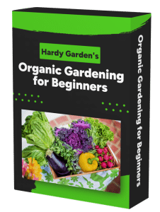 Cover for Organic Gardening for Beginners Course