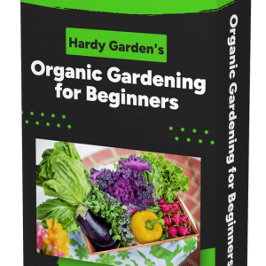 Cover for Organic Gardening for Beginners Course