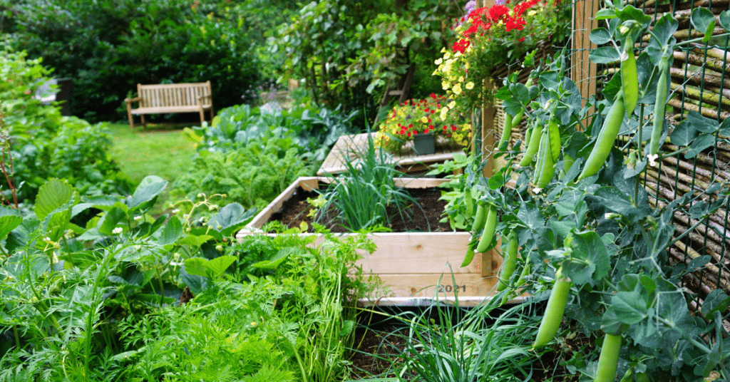 organic garden