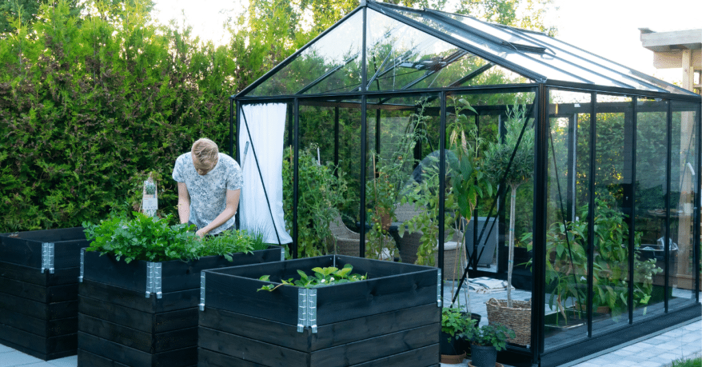 6 x 6 greenhouse