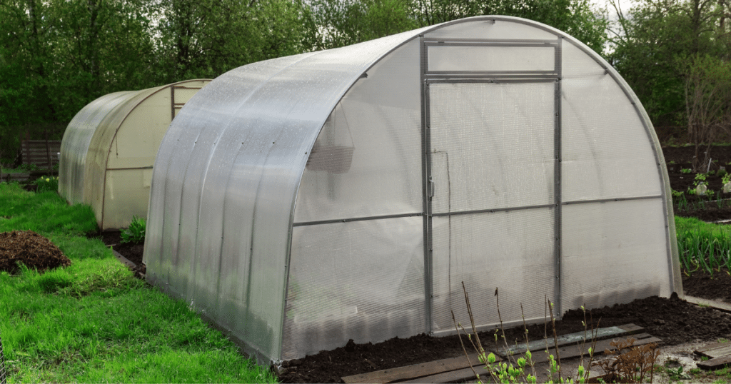 greenhouse site