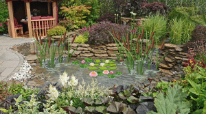 Water Gardening