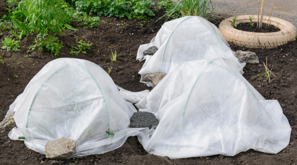 Winter Prep Garden, winter garden preparation